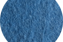 371-alaskan-blue