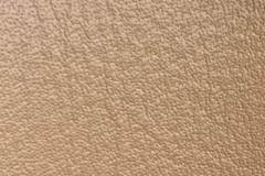 Leather-6
